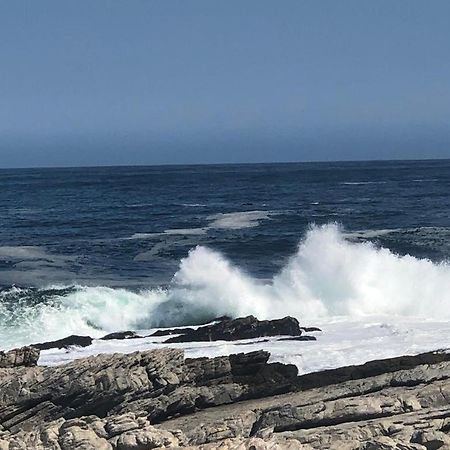 Hermanus Beach Club - St Tides House 19 Hotel Eksteriør billede