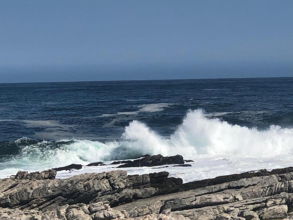 Hermanus Beach Club - St Tides House 19 Hotel Eksteriør billede